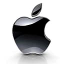 AAPL Inc